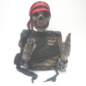 Vintage Halloween Pirate Skeleton Party Decor with Red Bandana